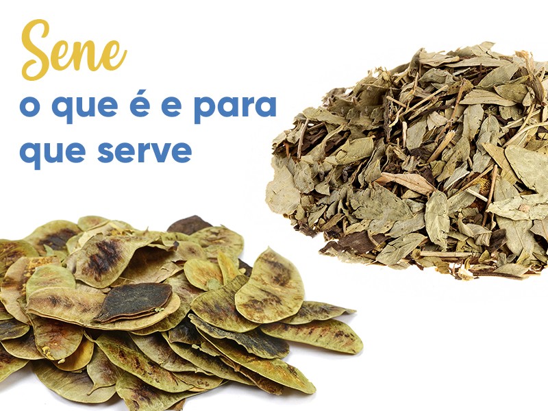 Sene: o que  e para que serve